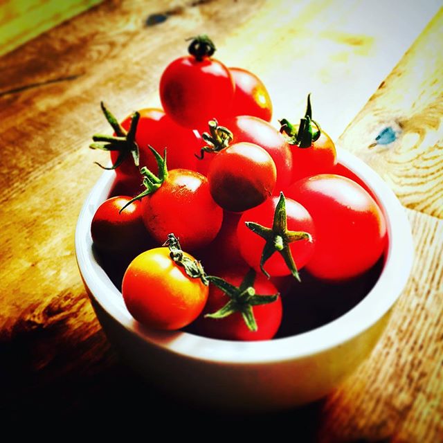 Fresh from the garden - it looks like salad for lunch. You can't beat #growtourown #tomatoes #lovefood Check out the link on my profile for more great photos.
