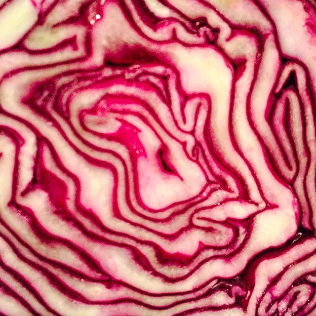 You've heard of the song #greenonions well here's #redcabbage, only I haven't written the song to go with the title yet! #wimbledon #Christmas #yumyum #healthyfood