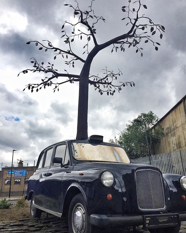 It must be #art - a #crazy #londontaxi with a #tree growing out of its roof. #trinitybouywharf #londonlife #londontaxi #london #modernart