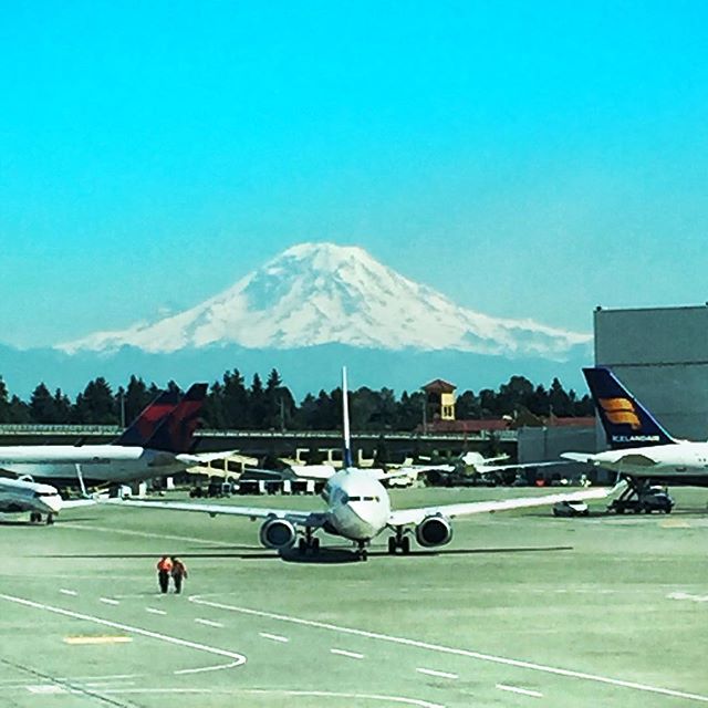 Time for home, @port_of_seattle catching a last glimpse of #mountranier in the distance. #travel #washingtonstate #PacificNorthWest #travelphotography #airplanes