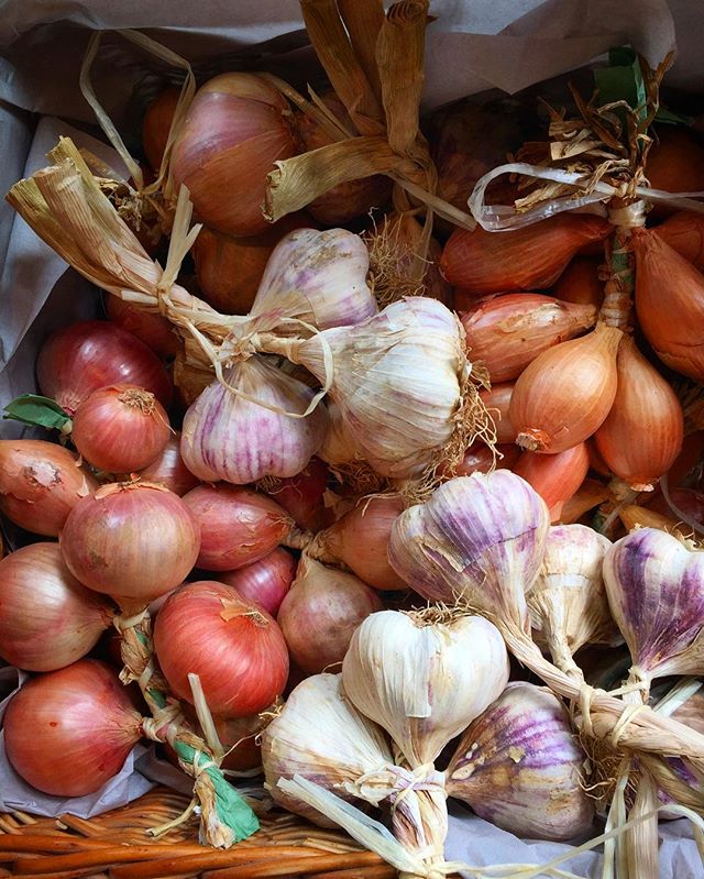 Garlic, onions and shallots straight from here in